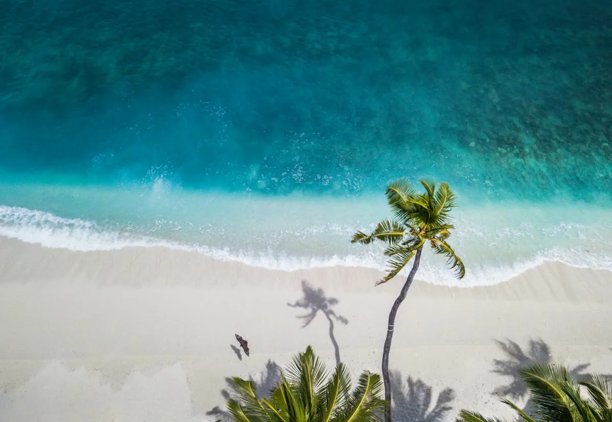 Resort oddih – VoyarqessaliQue
